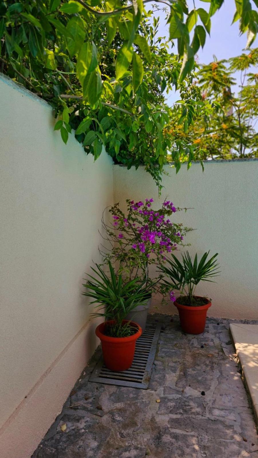 Lovely House With Swimming Pool モスタル エクステリア 写真