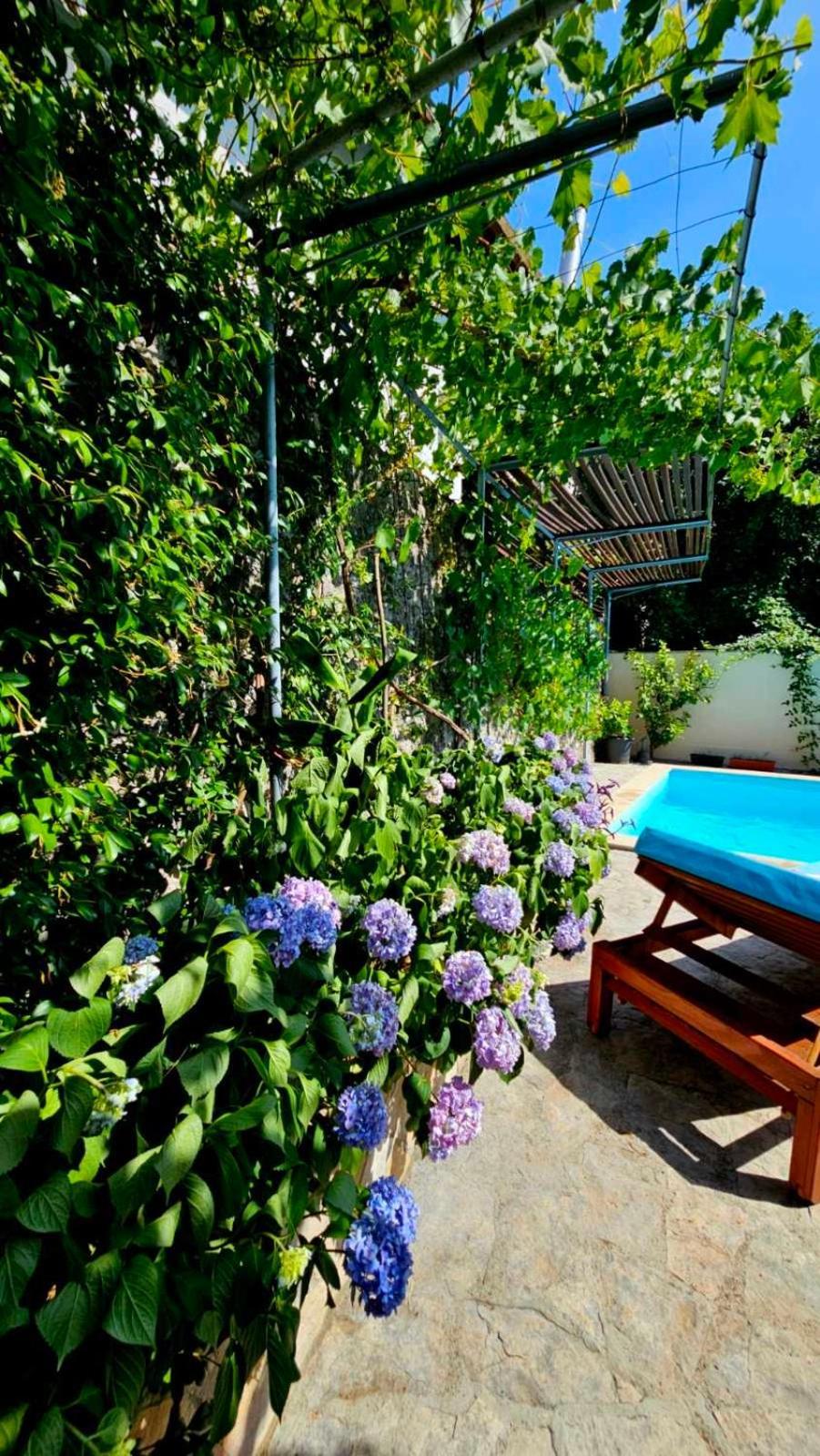 Lovely House With Swimming Pool モスタル エクステリア 写真